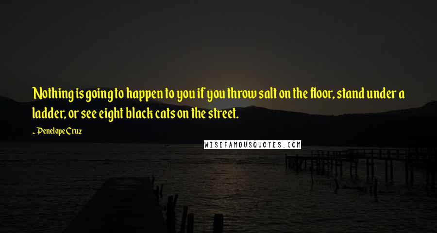 Penelope Cruz Quotes: Nothing is going to happen to you if you throw salt on the floor, stand under a ladder, or see eight black cats on the street.