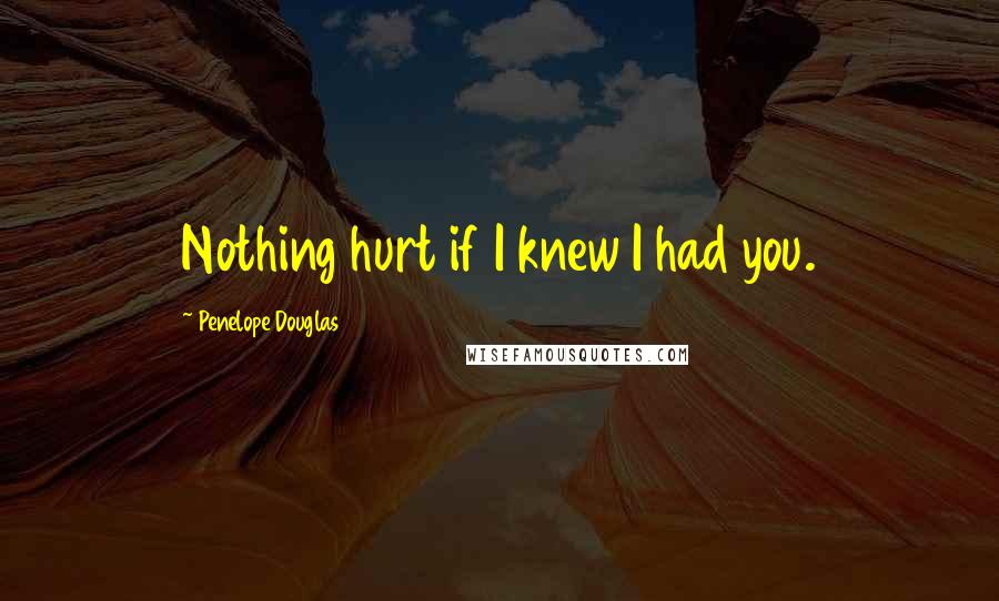 Penelope Douglas Quotes: Nothing hurt if I knew I had you.