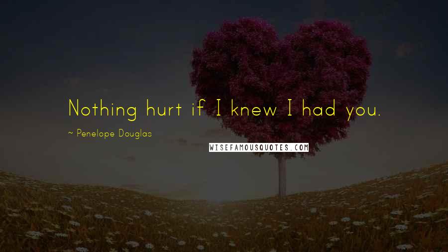 Penelope Douglas Quotes: Nothing hurt if I knew I had you.