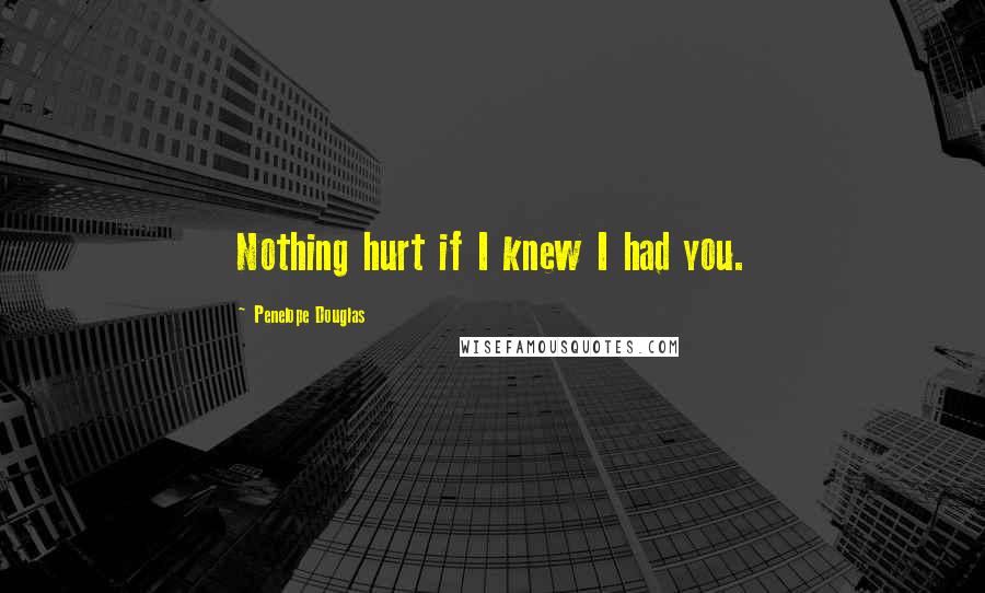 Penelope Douglas Quotes: Nothing hurt if I knew I had you.