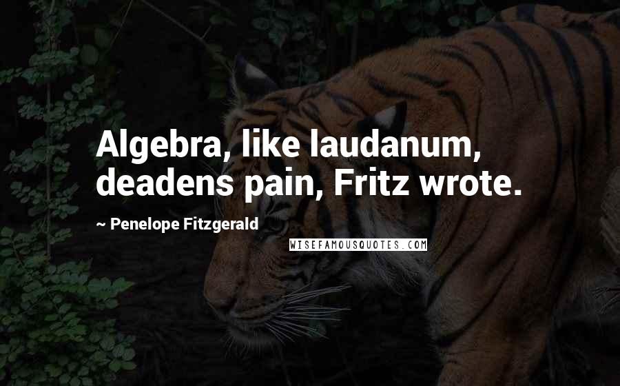 Penelope Fitzgerald Quotes: Algebra, like laudanum, deadens pain, Fritz wrote.