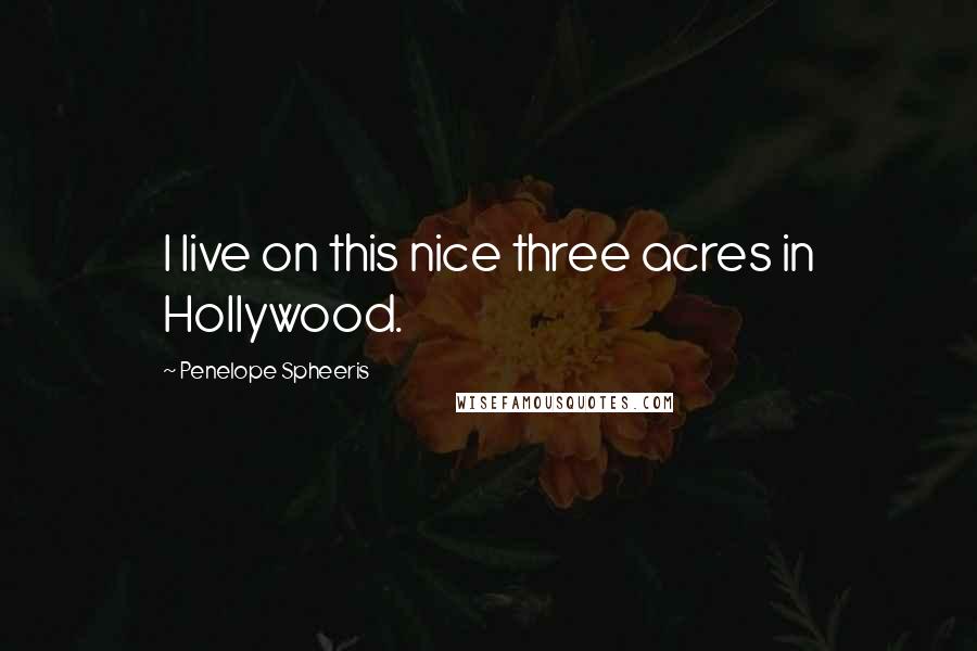 Penelope Spheeris Quotes: I live on this nice three acres in Hollywood.