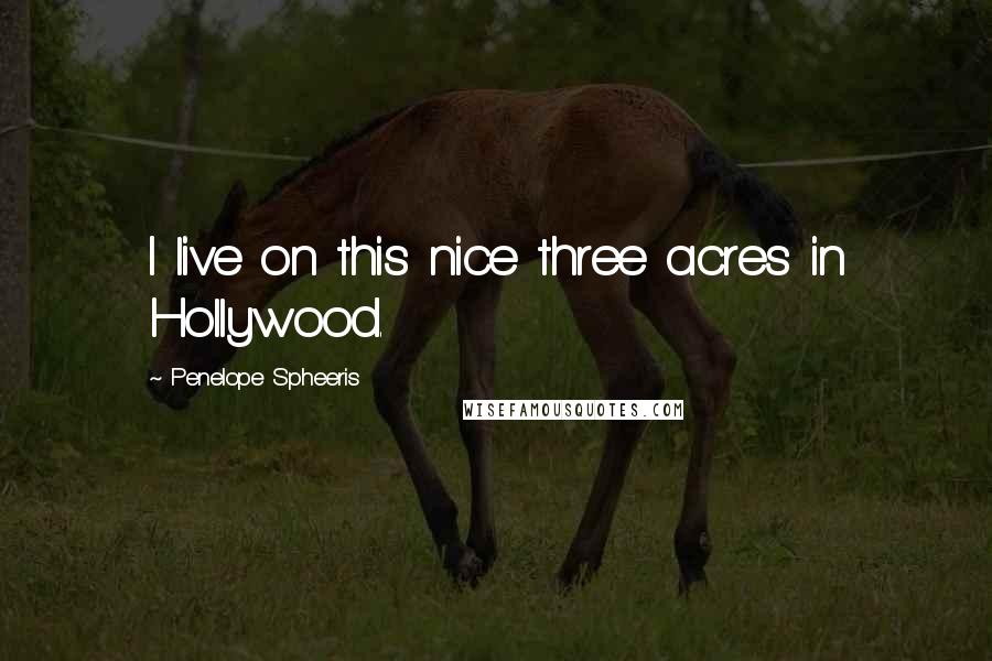 Penelope Spheeris Quotes: I live on this nice three acres in Hollywood.