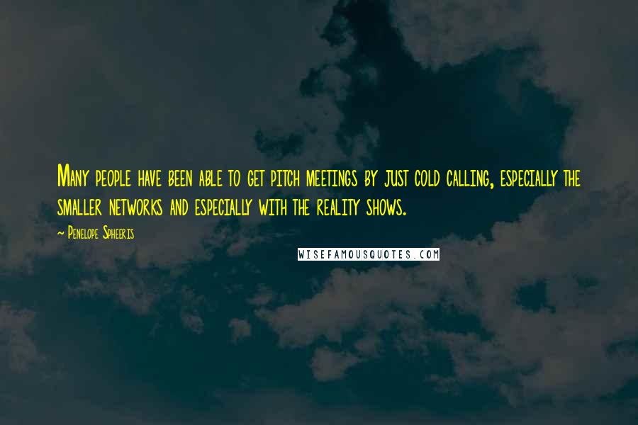Penelope Spheeris Quotes: Many people have been able to get pitch meetings by just cold calling, especially the smaller networks and especially with the reality shows.