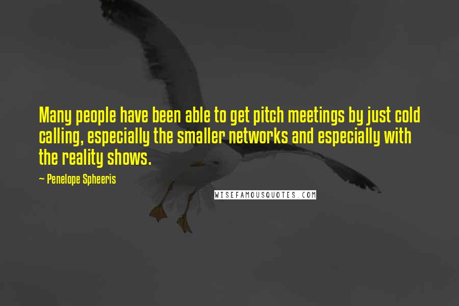 Penelope Spheeris Quotes: Many people have been able to get pitch meetings by just cold calling, especially the smaller networks and especially with the reality shows.