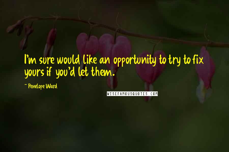 Penelope Ward Quotes: I'm sure would like an opportunity to try to fix yours if you'd let them.