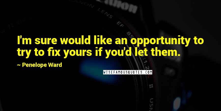 Penelope Ward Quotes: I'm sure would like an opportunity to try to fix yours if you'd let them.