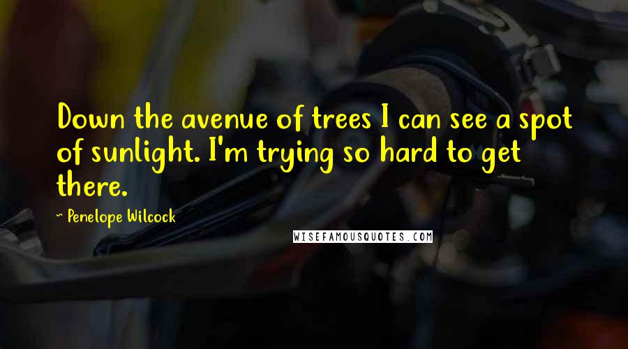 Penelope Wilcock Quotes: Down the avenue of trees I can see a spot of sunlight. I'm trying so hard to get there.