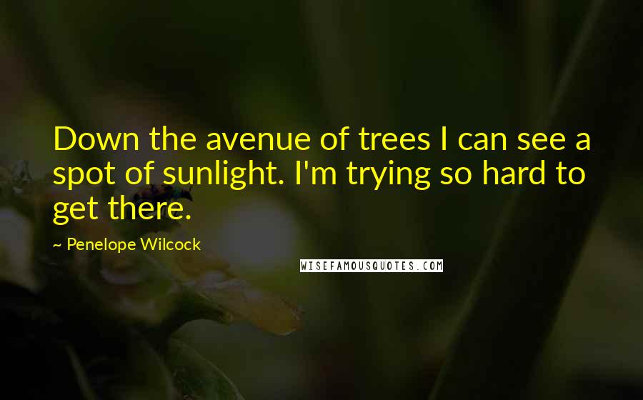 Penelope Wilcock Quotes: Down the avenue of trees I can see a spot of sunlight. I'm trying so hard to get there.