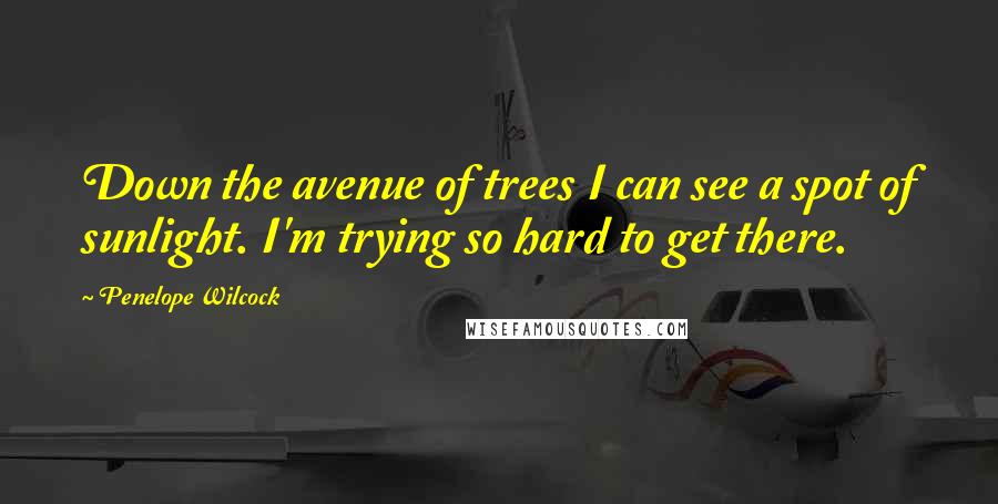 Penelope Wilcock Quotes: Down the avenue of trees I can see a spot of sunlight. I'm trying so hard to get there.