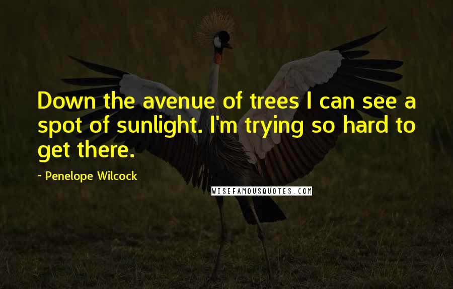 Penelope Wilcock Quotes: Down the avenue of trees I can see a spot of sunlight. I'm trying so hard to get there.