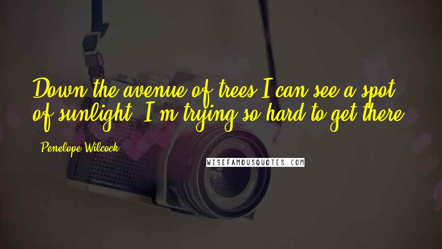 Penelope Wilcock Quotes: Down the avenue of trees I can see a spot of sunlight. I'm trying so hard to get there.