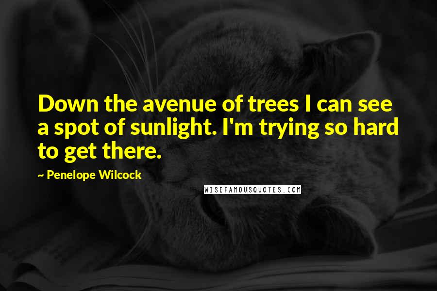 Penelope Wilcock Quotes: Down the avenue of trees I can see a spot of sunlight. I'm trying so hard to get there.