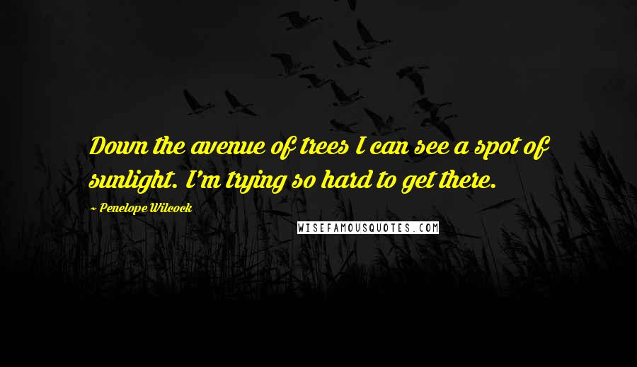 Penelope Wilcock Quotes: Down the avenue of trees I can see a spot of sunlight. I'm trying so hard to get there.