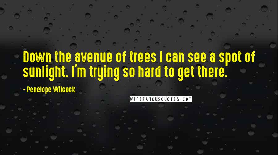 Penelope Wilcock Quotes: Down the avenue of trees I can see a spot of sunlight. I'm trying so hard to get there.