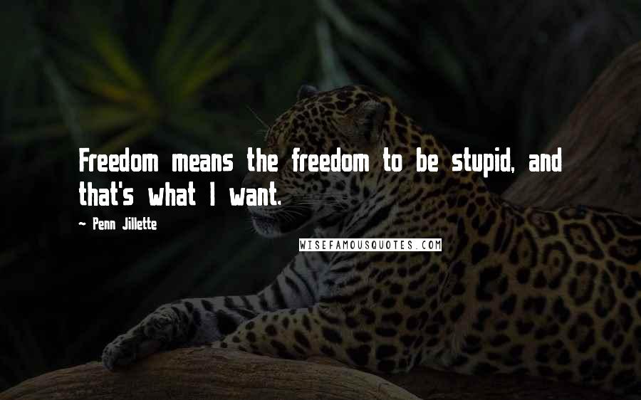 Penn Jillette Quotes: Freedom means the freedom to be stupid, and that's what I want.