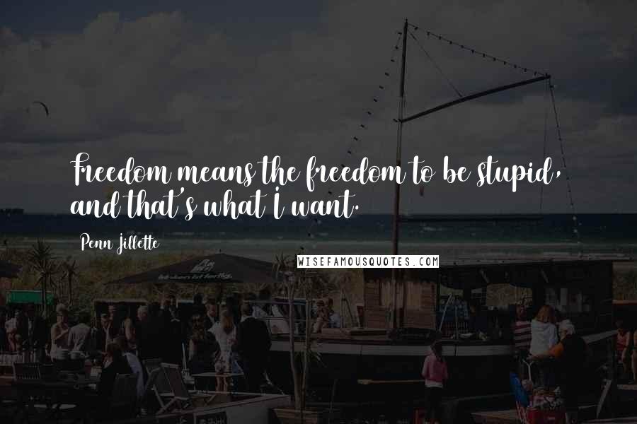 Penn Jillette Quotes: Freedom means the freedom to be stupid, and that's what I want.