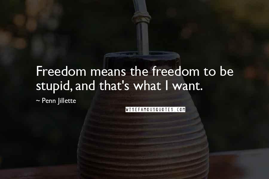 Penn Jillette Quotes: Freedom means the freedom to be stupid, and that's what I want.