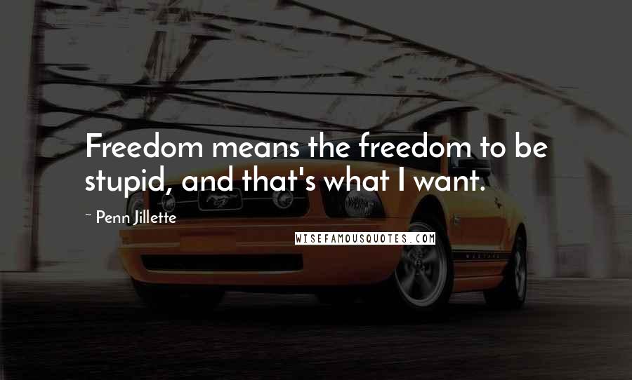 Penn Jillette Quotes: Freedom means the freedom to be stupid, and that's what I want.