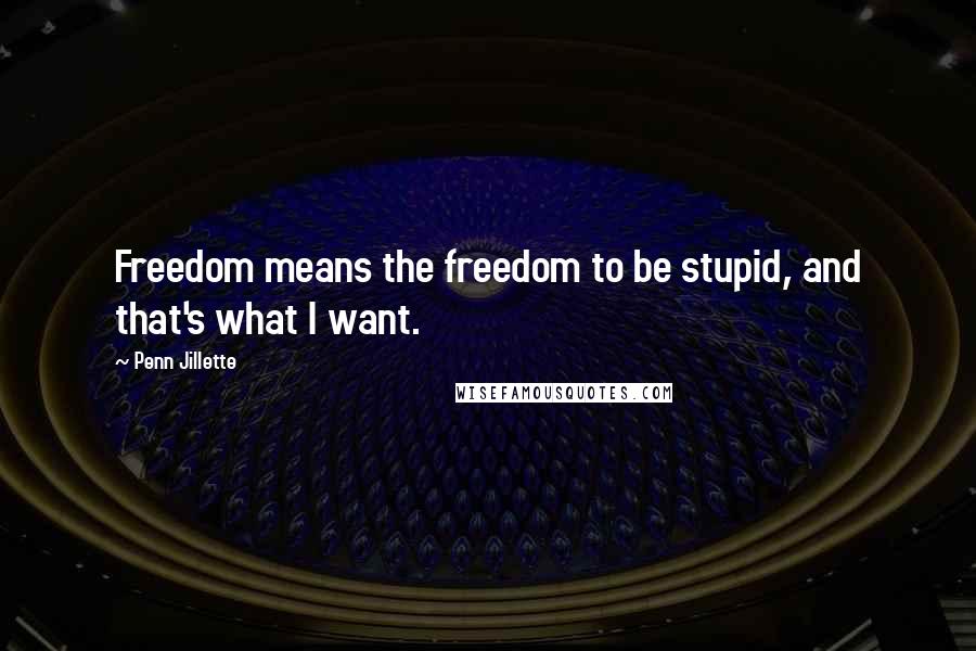 Penn Jillette Quotes: Freedom means the freedom to be stupid, and that's what I want.