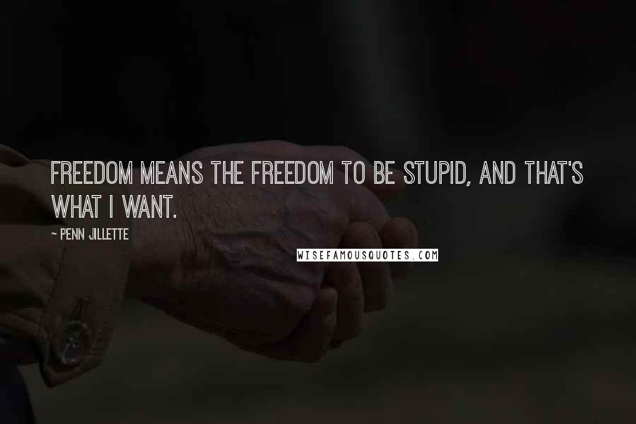 Penn Jillette Quotes: Freedom means the freedom to be stupid, and that's what I want.