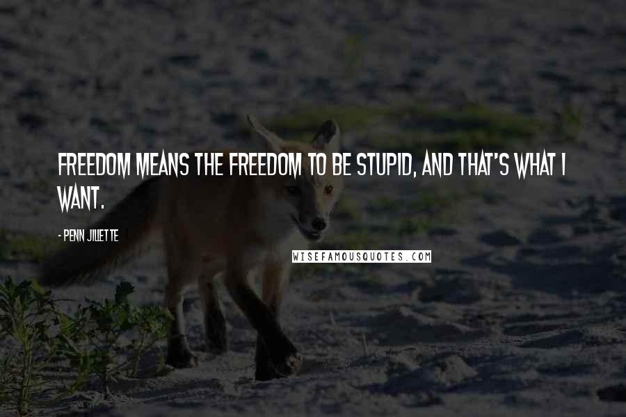 Penn Jillette Quotes: Freedom means the freedom to be stupid, and that's what I want.