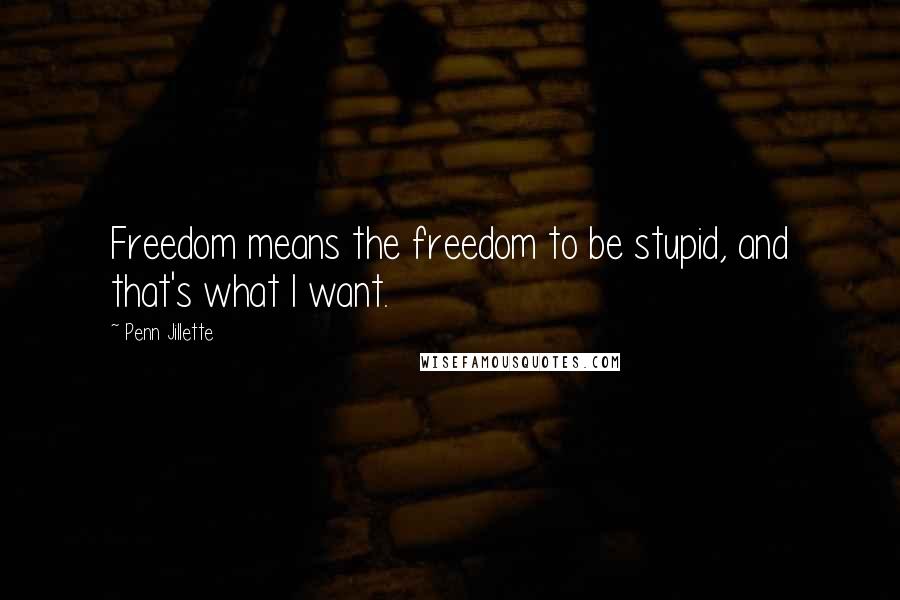 Penn Jillette Quotes: Freedom means the freedom to be stupid, and that's what I want.