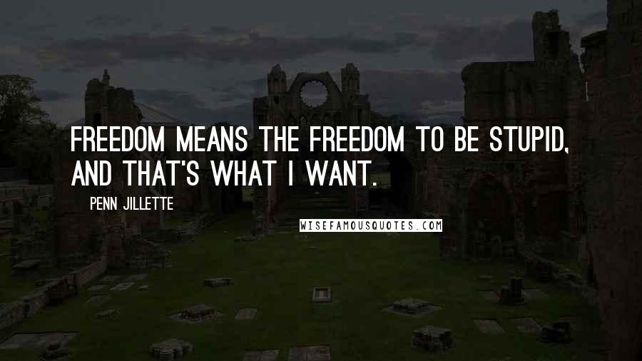 Penn Jillette Quotes: Freedom means the freedom to be stupid, and that's what I want.