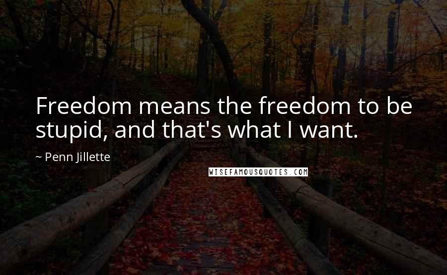 Penn Jillette Quotes: Freedom means the freedom to be stupid, and that's what I want.