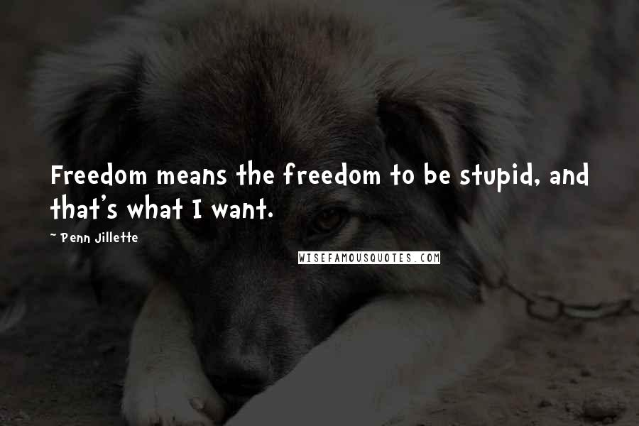 Penn Jillette Quotes: Freedom means the freedom to be stupid, and that's what I want.