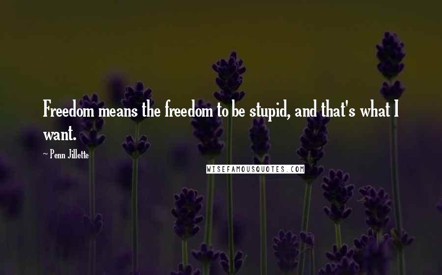 Penn Jillette Quotes: Freedom means the freedom to be stupid, and that's what I want.