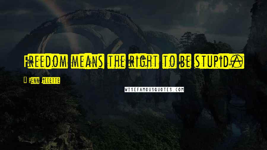 Penn Jillette Quotes: Freedom means the right to be stupid.
