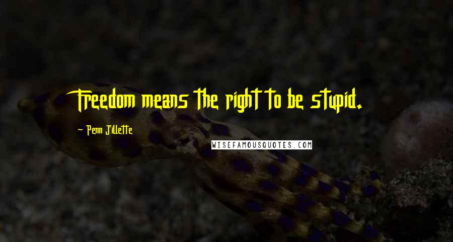 Penn Jillette Quotes: Freedom means the right to be stupid.