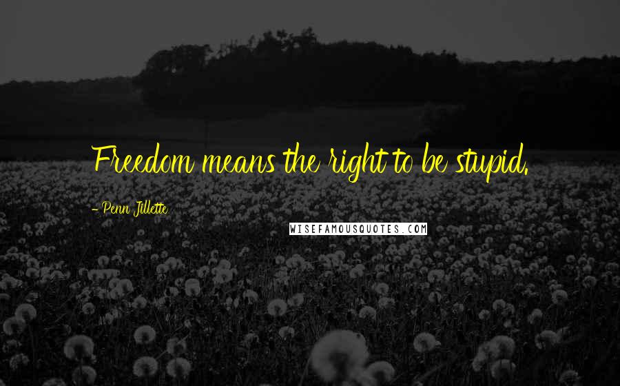 Penn Jillette Quotes: Freedom means the right to be stupid.