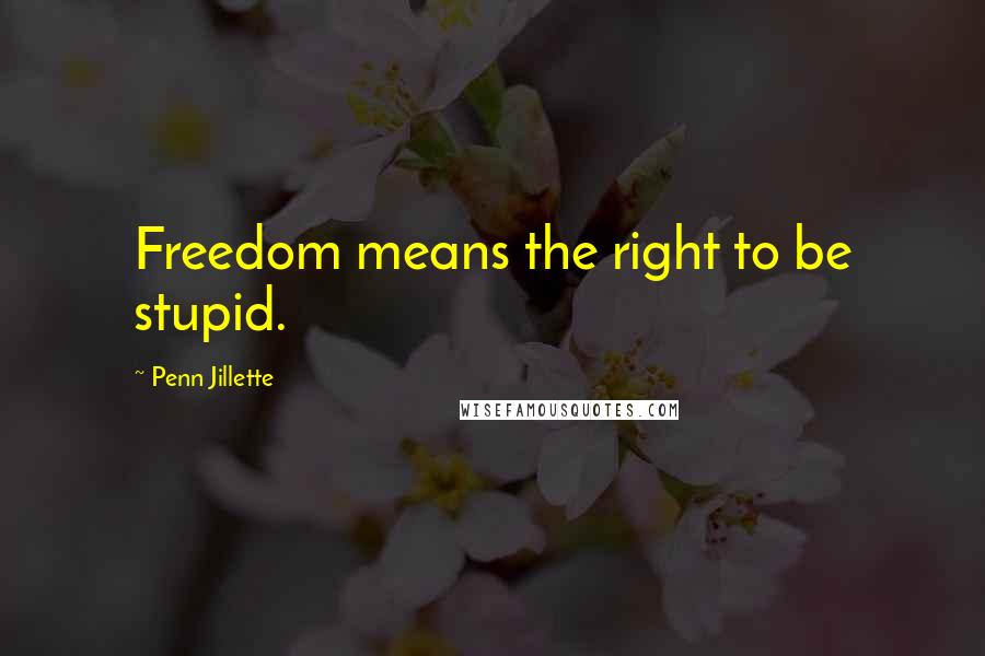 Penn Jillette Quotes: Freedom means the right to be stupid.