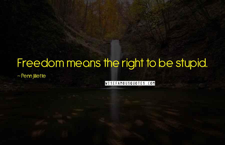 Penn Jillette Quotes: Freedom means the right to be stupid.