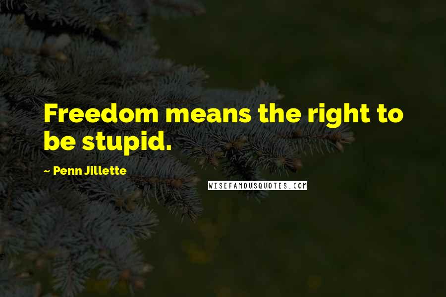 Penn Jillette Quotes: Freedom means the right to be stupid.