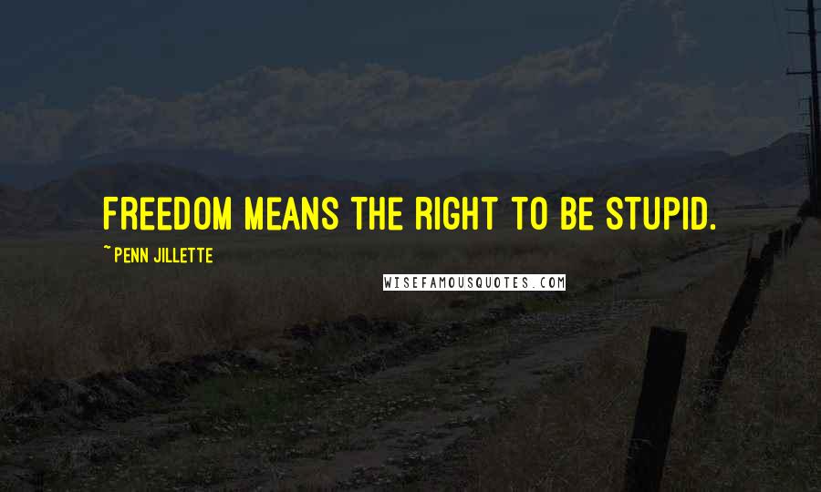 Penn Jillette Quotes: Freedom means the right to be stupid.