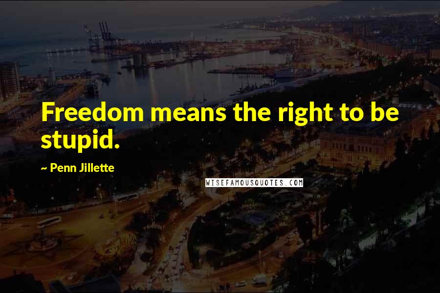 Penn Jillette Quotes: Freedom means the right to be stupid.