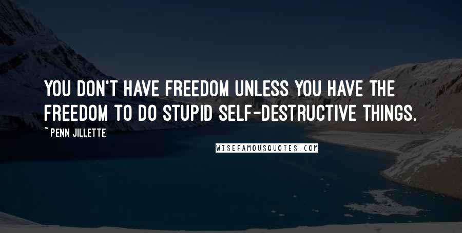 Penn Jillette Quotes: You don't have freedom unless you have the freedom to do stupid self-destructive things.