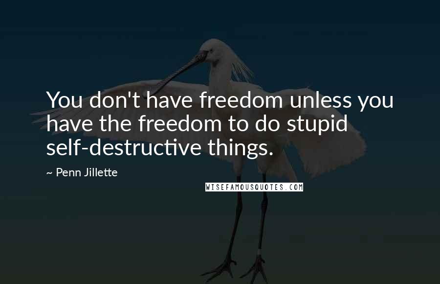 Penn Jillette Quotes: You don't have freedom unless you have the freedom to do stupid self-destructive things.