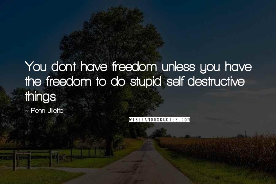 Penn Jillette Quotes: You don't have freedom unless you have the freedom to do stupid self-destructive things.