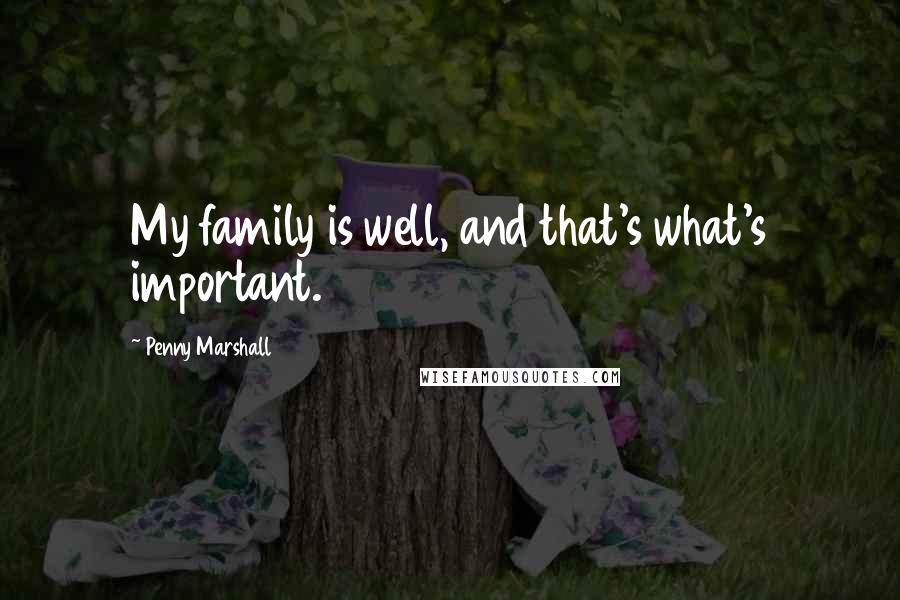 Penny Marshall Quotes: My family is well, and that's what's important.