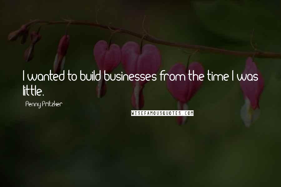 Penny Pritzker Quotes: I wanted to build businesses from the time I was little.