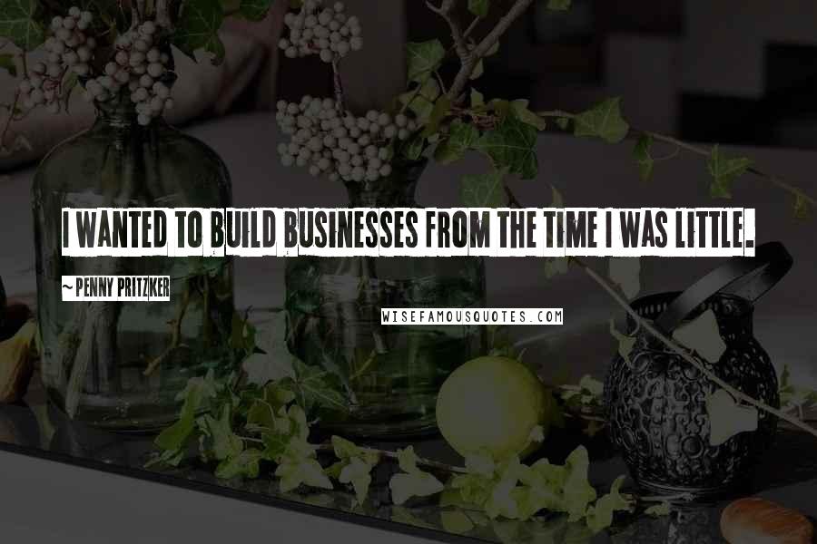 Penny Pritzker Quotes: I wanted to build businesses from the time I was little.