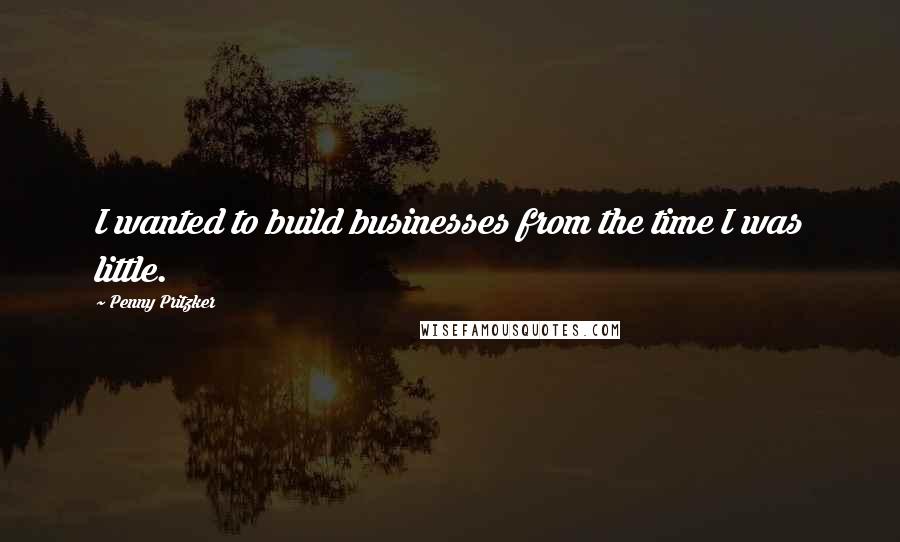 Penny Pritzker Quotes: I wanted to build businesses from the time I was little.