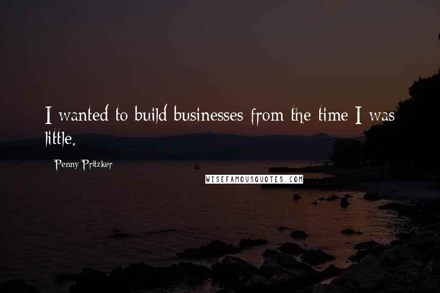 Penny Pritzker Quotes: I wanted to build businesses from the time I was little.
