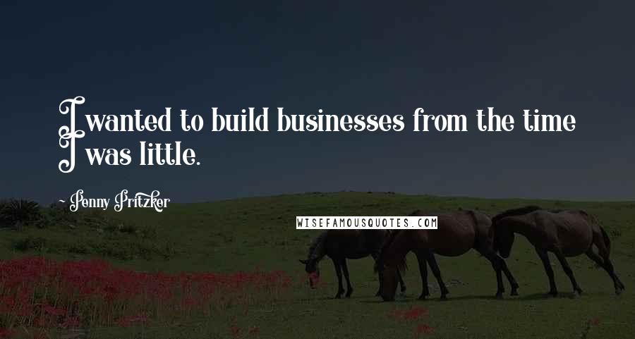 Penny Pritzker Quotes: I wanted to build businesses from the time I was little.