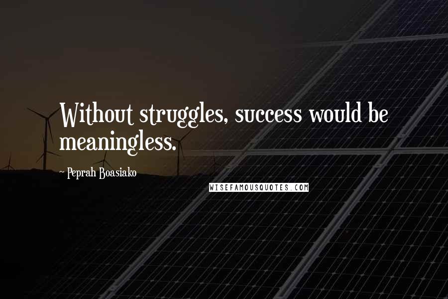 Peprah Boasiako Quotes: Without struggles, success would be meaningless.