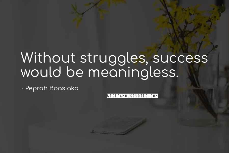 Peprah Boasiako Quotes: Without struggles, success would be meaningless.